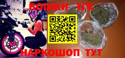мдпв Бийск
