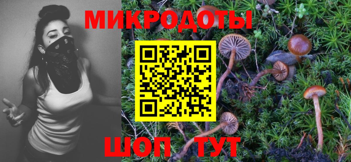 Псилоцибиновые грибы GOLDEN TEACHER  Вход с VPN  Псилоцибиновые грибы ЛСД  Каменск-Шахтинский 