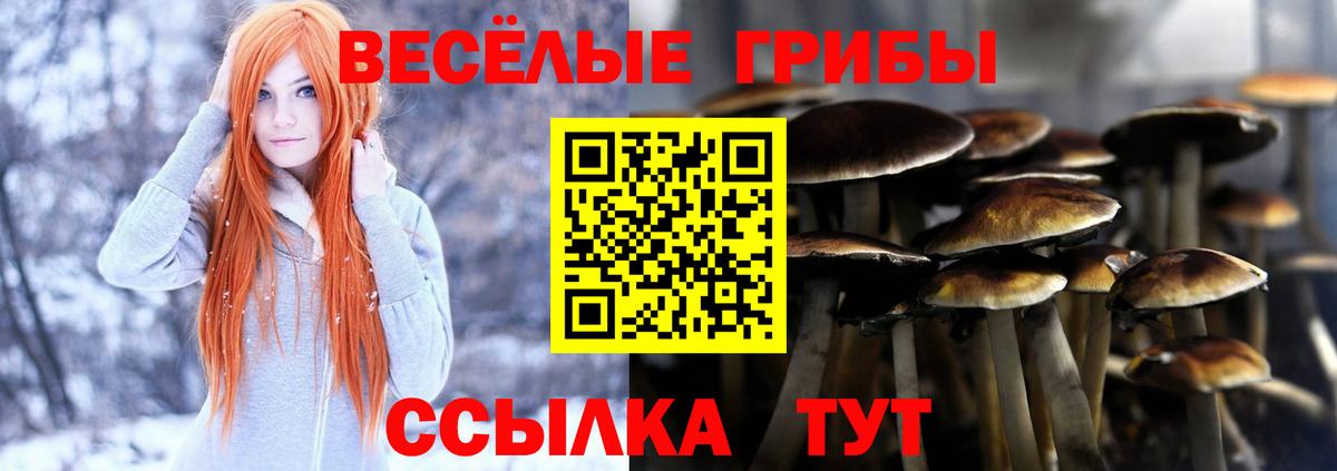 Галлюциногенные грибы мицелий Каменск-Шахтинский